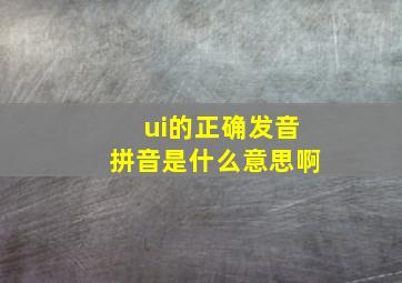 ui的正确发音拼音是什么意思啊