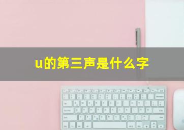 u的第三声是什么字