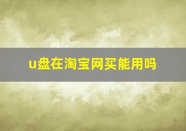 u盘在淘宝网买能用吗