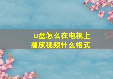 u盘怎么在电视上播放视频什么格式