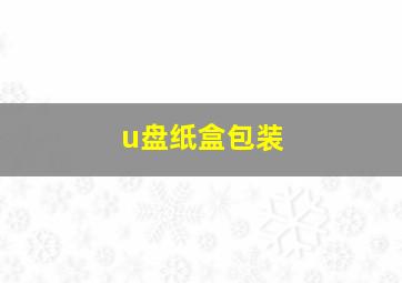 u盘纸盒包装