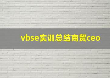 vbse实训总结商贸ceo