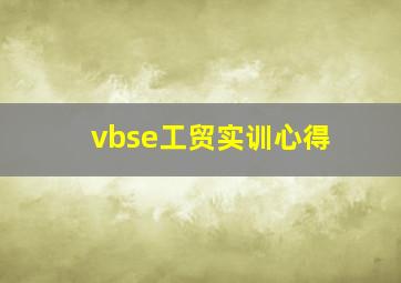 vbse工贸实训心得