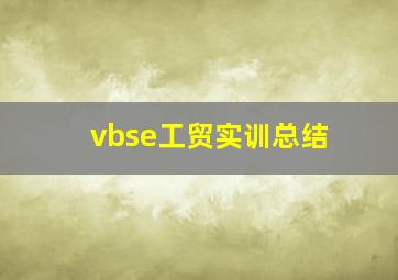 vbse工贸实训总结