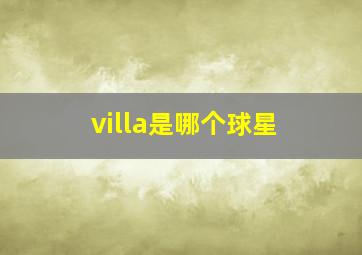 villa是哪个球星