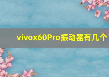 vivox60Pro振动器有几个