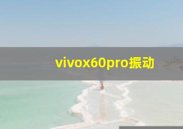 vivox60pro振动