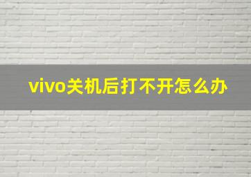 vivo关机后打不开怎么办