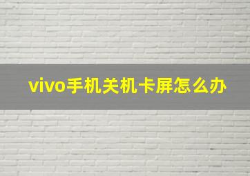 vivo手机关机卡屏怎么办