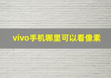 vivo手机哪里可以看像素