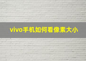 vivo手机如何看像素大小