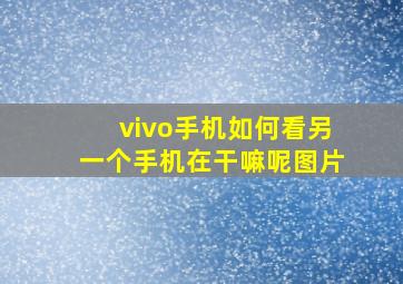 vivo手机如何看另一个手机在干嘛呢图片