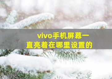 vivo手机屏幕一直亮着在哪里设置的