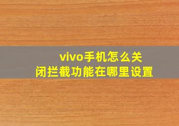 vivo手机怎么关闭拦截功能在哪里设置