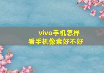 vivo手机怎样看手机像素好不好