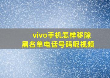 vivo手机怎样移除黑名单电话号码呢视频