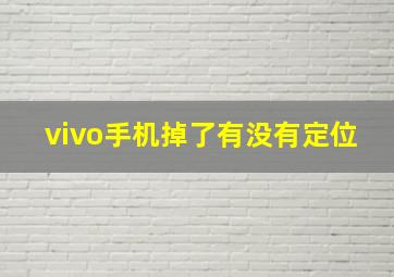 vivo手机掉了有没有定位