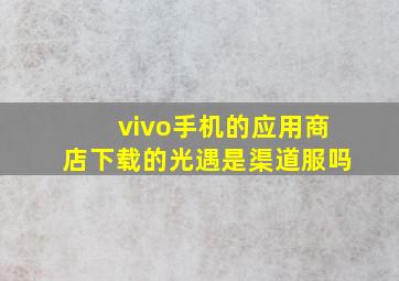 vivo手机的应用商店下载的光遇是渠道服吗