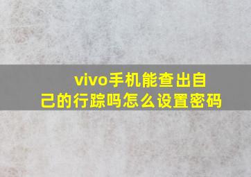 vivo手机能查出自己的行踪吗怎么设置密码