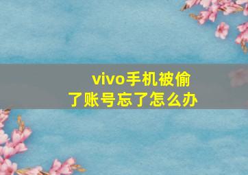 vivo手机被偷了账号忘了怎么办