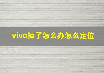 vivo掉了怎么办怎么定位