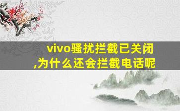 vivo骚扰拦截已关闭,为什么还会拦截电话呢