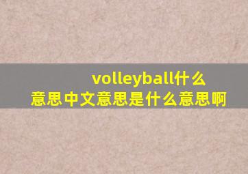 volleyball什么意思中文意思是什么意思啊