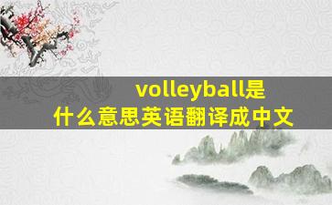 volleyball是什么意思英语翻译成中文