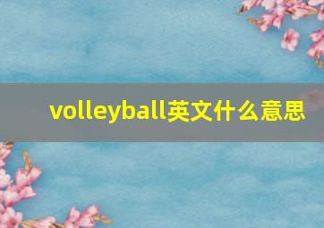 volleyball英文什么意思