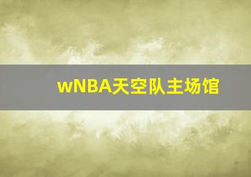 wNBA天空队主场馆