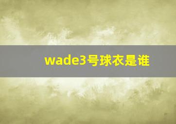 wade3号球衣是谁