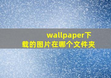 wallpaper下载的图片在哪个文件夹