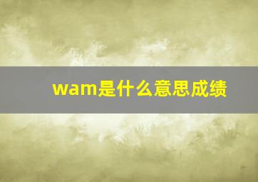 wam是什么意思成绩