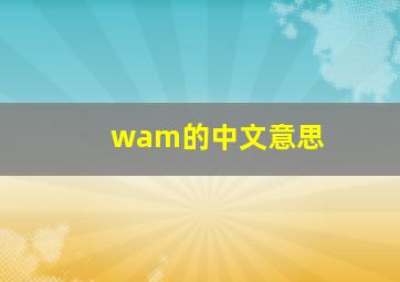 wam的中文意思