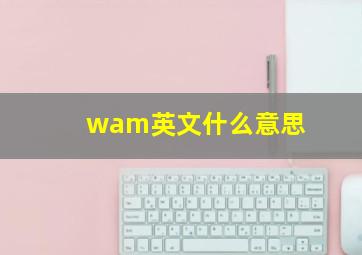 wam英文什么意思