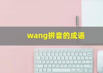 wang拼音的成语