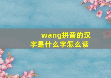 wang拼音的汉字是什么字怎么读