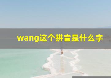 wang这个拼音是什么字