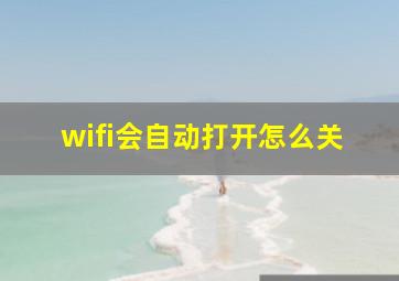 wifi会自动打开怎么关