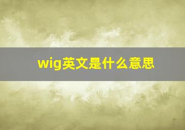 wig英文是什么意思