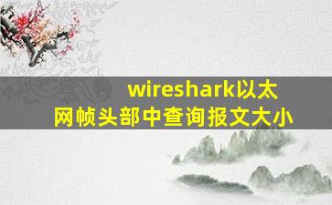 wireshark以太网帧头部中查询报文大小