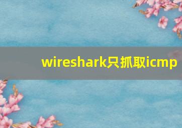 wireshark只抓取icmp