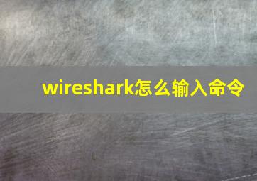 wireshark怎么输入命令