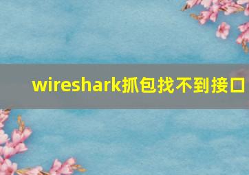 wireshark抓包找不到接口