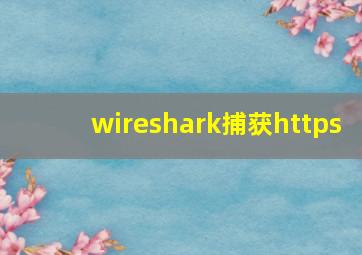 wireshark捕获https