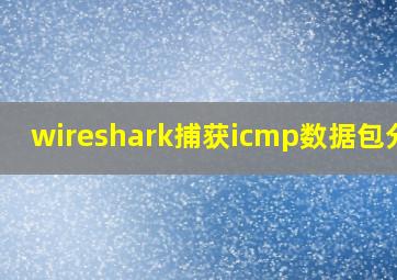 wireshark捕获icmp数据包分析