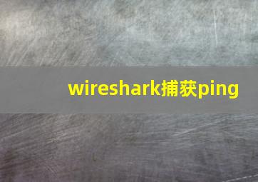 wireshark捕获ping