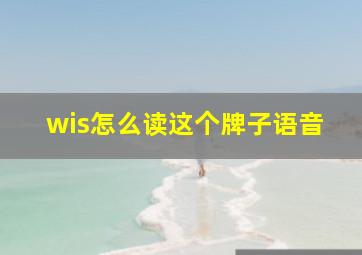 wis怎么读这个牌子语音