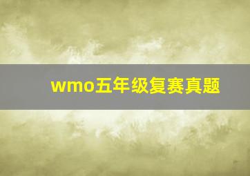 wmo五年级复赛真题