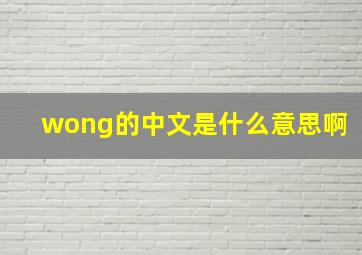 wong的中文是什么意思啊